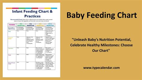 Food And Fluid Chart Template