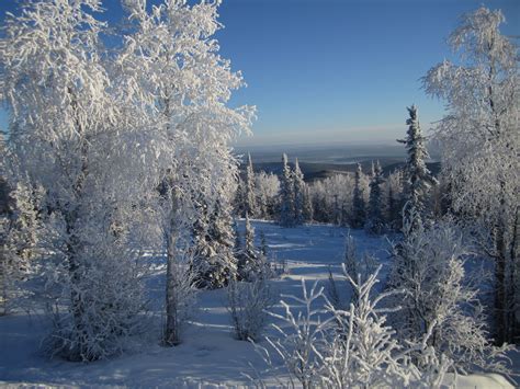 9 Inspiring Pictures of Alaska In the Winter - Westmark Hotels