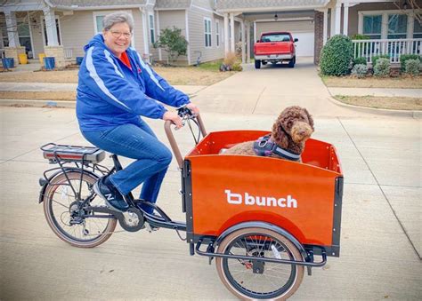 This Electric Dog Bike Gets Tripawds Out in the World – Tripawds Gear