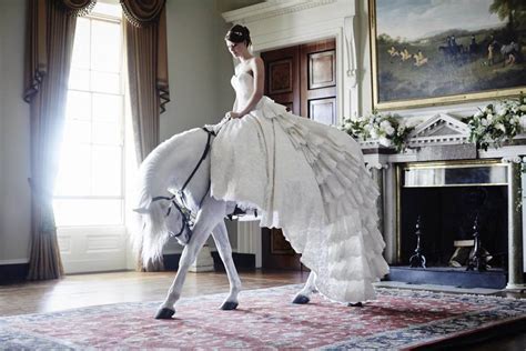 White Horse Wedding - A-Z Animals