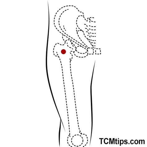 11 easy acupuncture points for hip pain tcm tips – Artofit