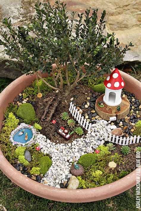 Fairy Garden Ideas - How to make a Bonsai Tree Fairy Garden