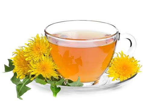 DANDELION TEA - TCM World