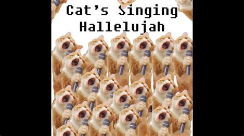 Hallelujah Cat Meme