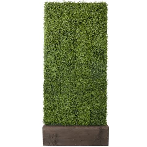 Artificial Boxwood Hedge - Celebrations! Party Rentals