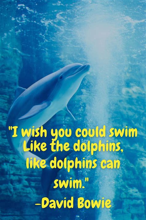 85 Powerful Dolphin Quotes And Captions - Darling Quote