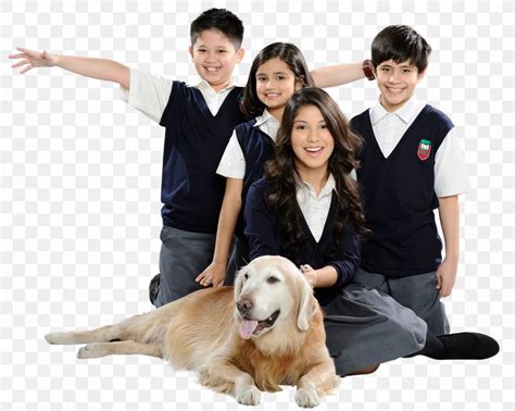 Reedley International School Education Dog Breed, PNG, 1493x1191px, Reedley International School ...