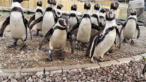 Exploris Aquarium & Seal Sanctuary - Portaferry - Discover Northern Ireland