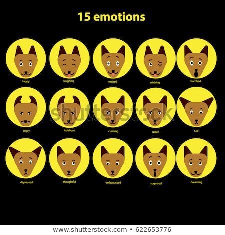 Image result for dog facial expressions chart | Expressions, Animal study, Facial expressions