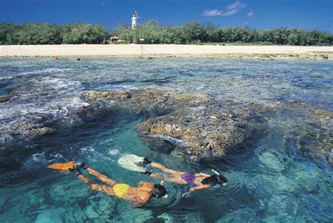 Discover all that Lady Elliot island has to offer! | Fraser island, Great barrier reef, Hervey bay