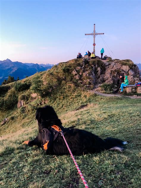 Alpbach, Austria: A Weekend of Hiking, Fine Dining & Relaxing in the Alps