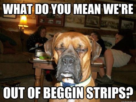 Funny Dog Memes (50 pics)