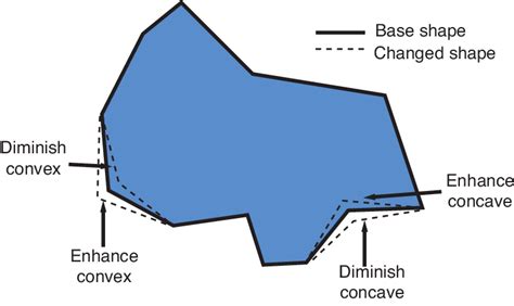 Types of shape changes in Experiment 1. | Download Scientific Diagram