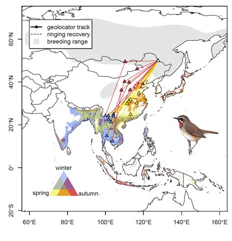 Messengers of a changing world - the migration ecology of Asian land ...