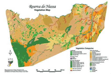 (PDF) Mapping the Vegetation and Extent of Agriculture in the Niassa ...