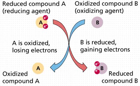 Oxidizing and Reducing Agents - ClassNotes.ng