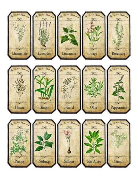 Vintage inspired assorted herb spice food tea bottle jar labels ...