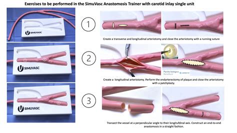 Vascular Anastomosis Kit Simulator - SimuVasc Training