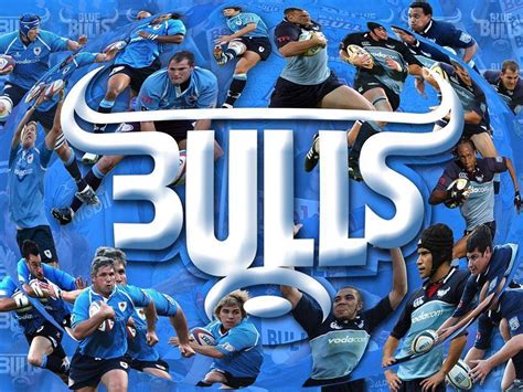 Bulls Rugby Logo