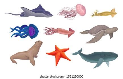 1,410,615 Aquatic Animal Images, Stock Photos, 3D objects, & Vectors | Shutterstock