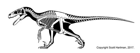 Image - Utahraptor skeleton.JPG | Dinosaur King | FANDOM powered by Wikia