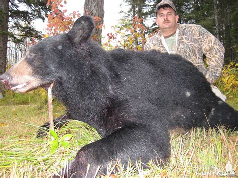 Canada Bear Hunt | AfricaHunting.com