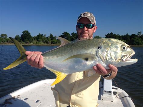 Jack Crevalle | Reel Florida Fishing Charters