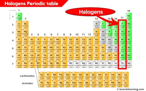 Periodic Table Of The Elements Halogens - vrogue.co