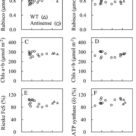 The capacity of RuBP regeneration (J g ) and the J g per ATP synthase ...