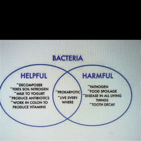 SOLVED: The Venn diagram details some of the helpful and harmful ...