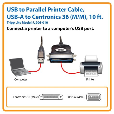 Amazon.com: TRIPP LITE USB to Parallel Printer Adapter Cable USB-A to ...