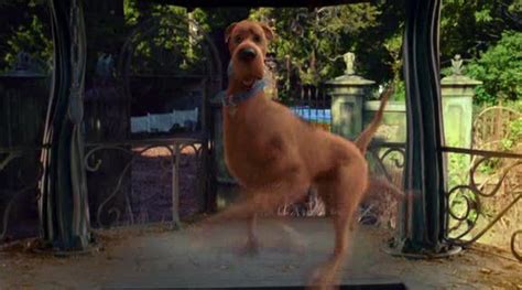 Scooby-Doo 2 Movie Screencaps - Scooby-Doo Image (3210646) - Fanpop