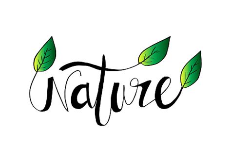 Nature Lettering Hand Drawn Stock Illustration - Download Image Now ...