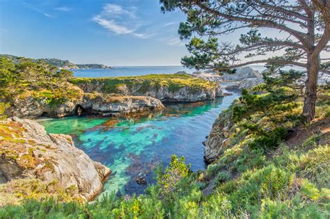 10 Best Beaches in Monterey - Which Monterey Beach is Right For You? – Go Guides