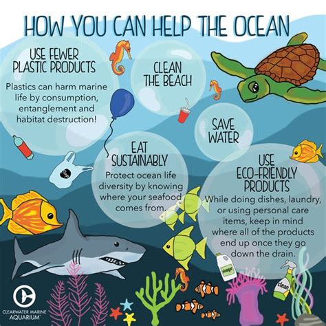 Six Ocean-Friendly Habits to Help Protect Marine Life - Clearwater Marine Aquarium