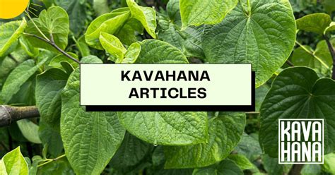 Kavahana Kava Recipes: Simple & Soothing Kava Blends for Home Relaxation