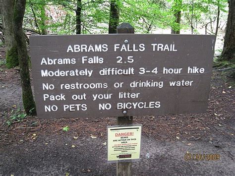 Abrams Falls Trail – Smokies Guide