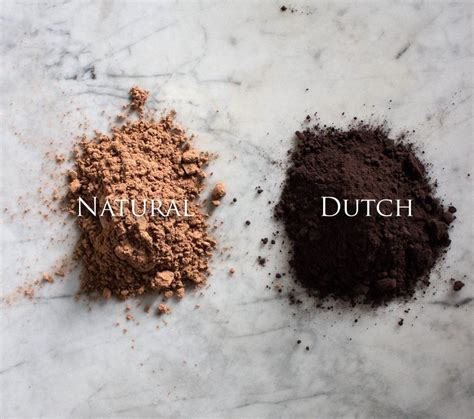 Regular or Dutched? The Nuances of Cocoa Powder