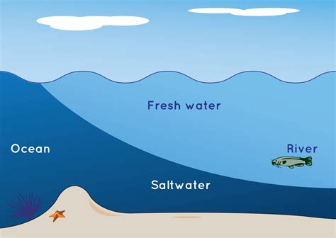 Go With the Flow: An Ocean Currents Game | NASA Space Place – NASA ...