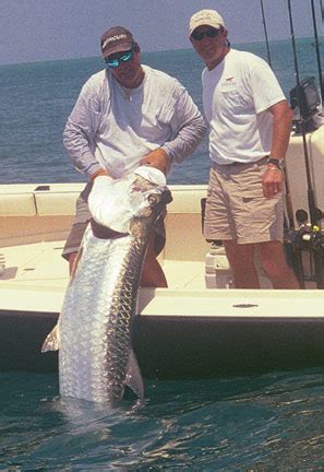 Florida tarpon fishing tips