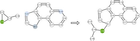 Propylene oxide reaction with pyrroloquinoline. The C, N, O in the ...