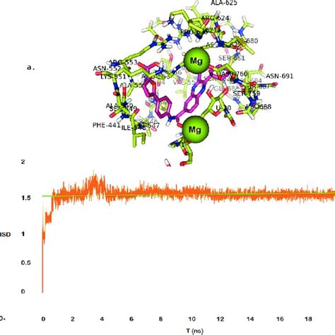 (PDF) Exploring RdRp–remdesivir interactions to screen RdRp inhibitors for the management of ...