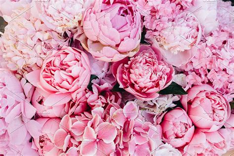 Discovering The Enchanting World Of Pink Peonies