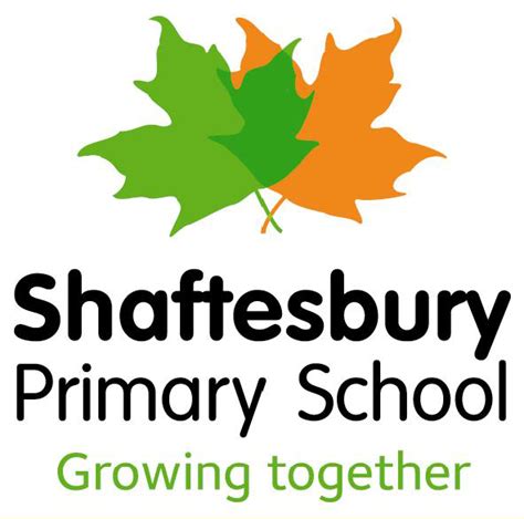 Primary Teacher | Shaftesbury Primary School, Shaftesbury Road, London, E7 8PF | February 2022