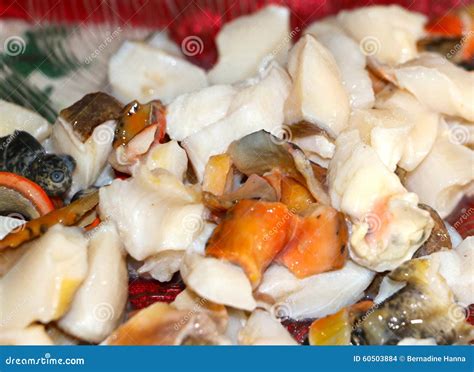 Fresh Conch Ceviche Stock Photo - Image: 60503884