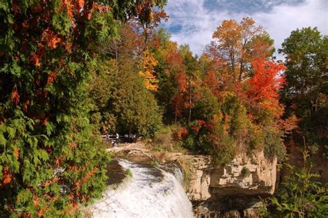 Webster's Falls: 6 Essential Facts About the Iconic Waterfall