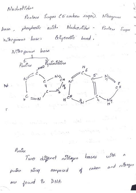 SOLUTION: Nucleic acids and dna types - Studypool