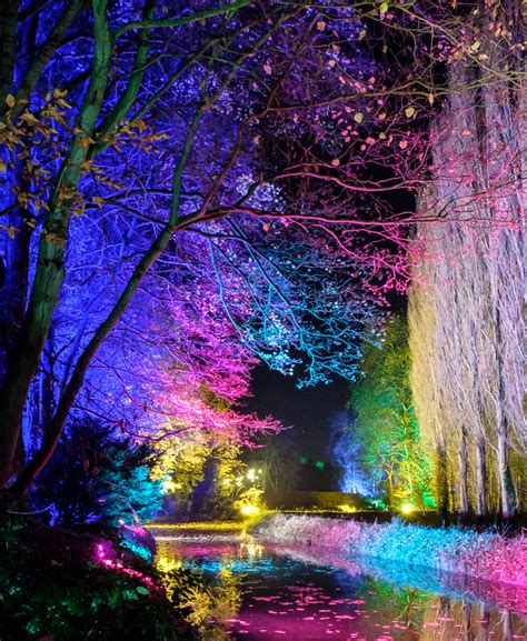 Ann Miles Blog: Anglesey Abbey Winter Lights 1. Static Shots