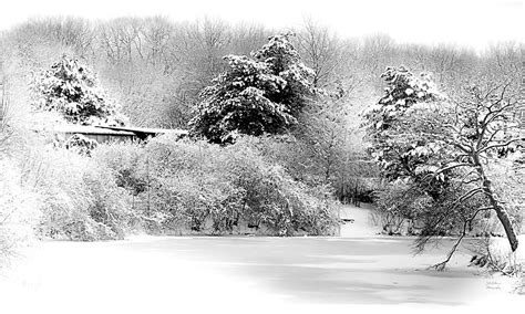 Winter Landscape Black and White Photograph by Julie Palencia