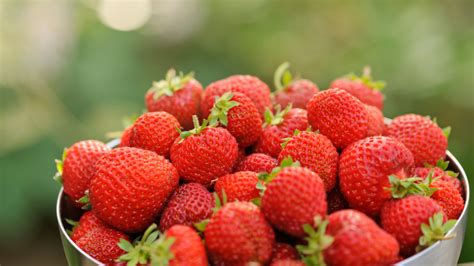 Different Types of Strawberry Varieties - An Expert Guide